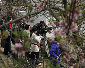 窥欲电影完整版神马影视海报