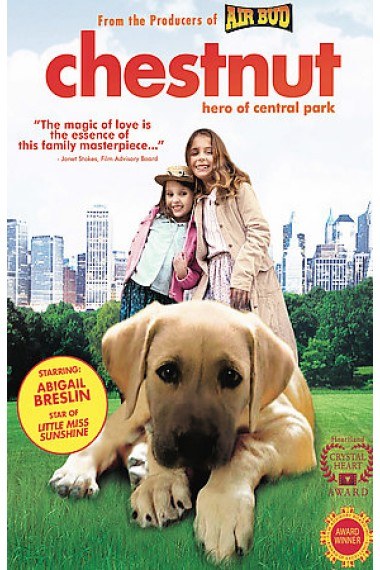 爷们儿电视剧影视海报