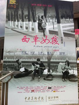 老外在我家上我自述影视海报