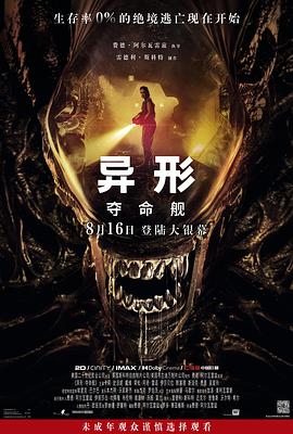 铁血悍将电视剧影视海报
