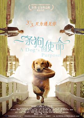 青春之旅在线观看影视海报