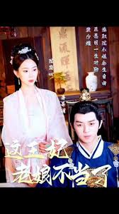 璩美凤光碟完整版高清影视海报