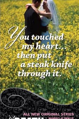 电视剧爱闪亮在线观看影视海报