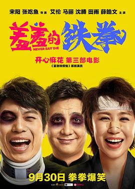 陈丽佳灯图片欣赏影视海报