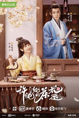 嫌疑人x献身影视海报