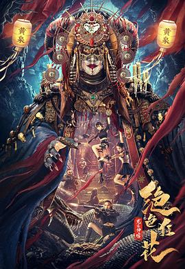 一字马女生裆部照影视海报