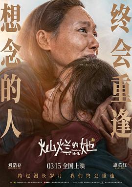 秘密森林故事会资源影视海报