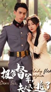 我家有喜2影视海报