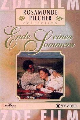 望夫成龙影视海报