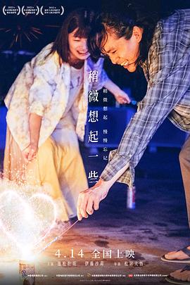 家国恩仇记电视剧影视海报