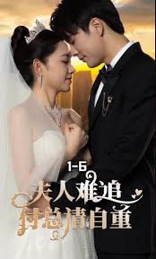 好看的警匪片影视海报