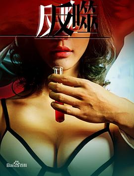 我的单板女孩第二季免费观看影视海报