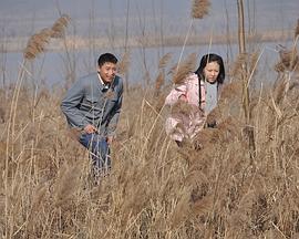 蝴蝶风情网中文版影视海报