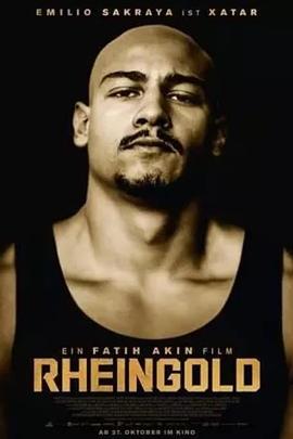 百姓春晚影视海报