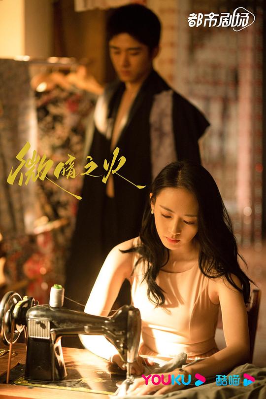 龙珠国语版影视海报