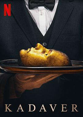 限定的记忆影视海报