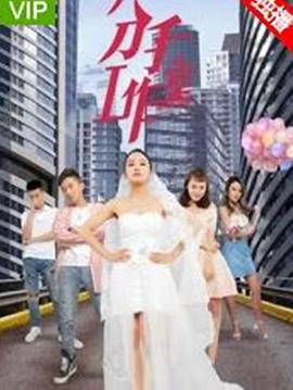 无悔追踪 电视剧影视海报