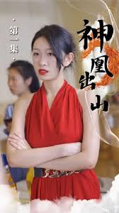 龟甲小说全集目录影视海报