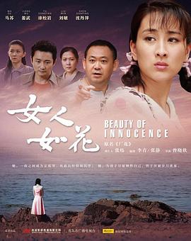 德累斯顿影视海报