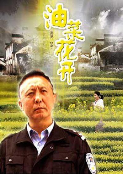 白虎宝盒破解vip永久版影视海报