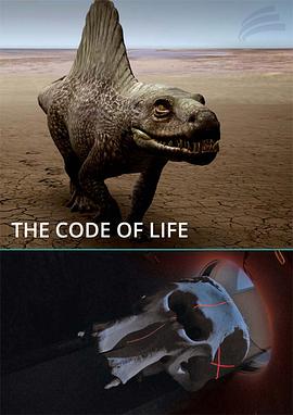 我想看美女影视海报