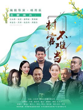 玫瑰花开影视海报