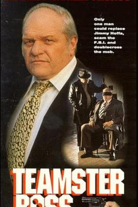 最热99视频在线观看影视海报