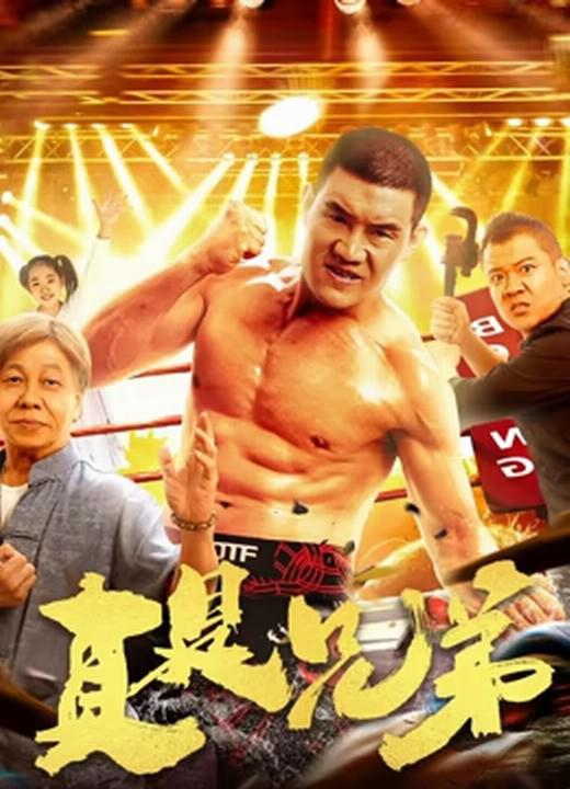 2828手机免费佗理电影网影视海报