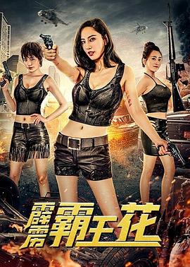 全职魔法师漫画影视海报