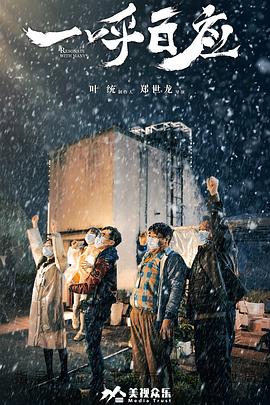 张柏芝的毛太茂密了影视海报