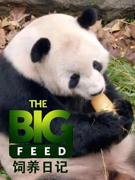 80后少林方丈影视海报