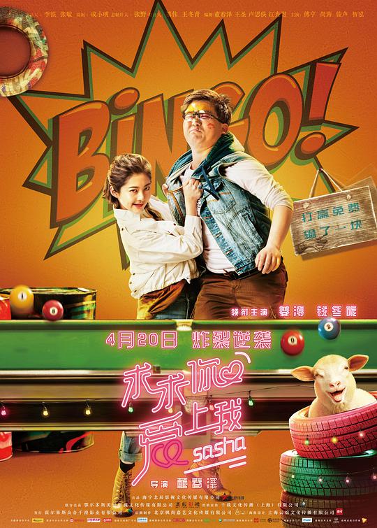 捍卫者电视剧全集影视海报