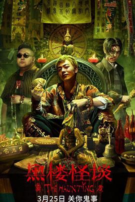 电视剧上门女婿全集影视海报