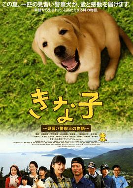 寄生虫剧情解析影视海报