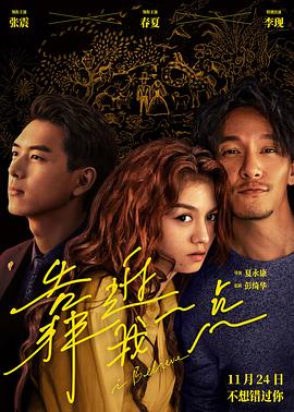 无我邪恶道影视海报