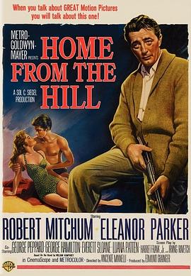 国产在观线免费观看影视海报