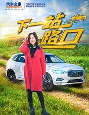 兰陵王妃番外影视海报