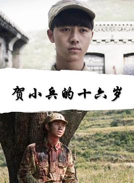 乱欲利娴庄第二季第一版主影视海报