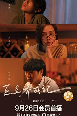 国产拖挂式房车影视海报