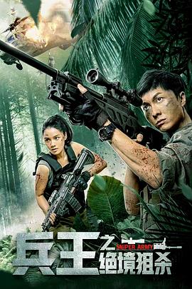 日落孤城全部小说影视海报