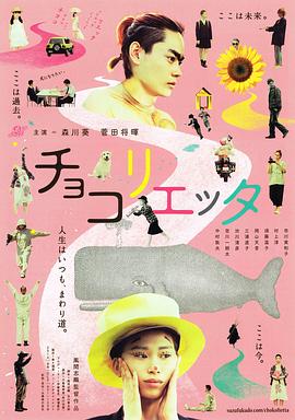 会飞的小精灵影视海报