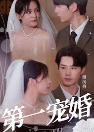 我的嫌疑犯影视海报