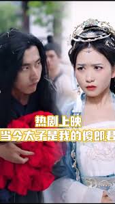 午夜影晥免费普通用户高清影视海报