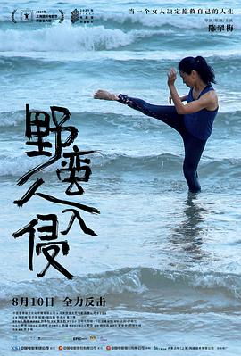 钢铁苍穹2何时上映影视海报