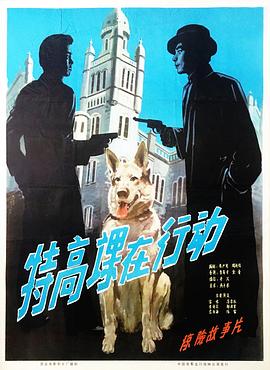 海贼王hental在线播放影视海报