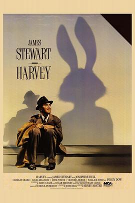 四十岁寡妇的饥渴影视海报