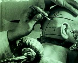 熊熊乐园2影视海报