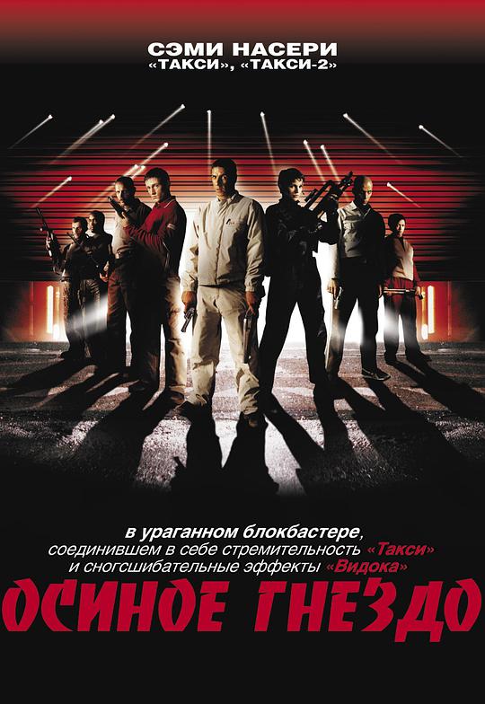 安子轩空间在线观看影视海报