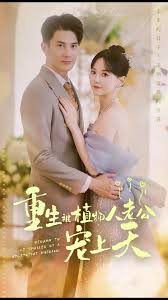 打飞视频教学讲解视频影视海报