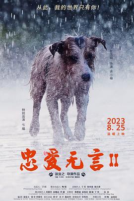 加油吧威基基百度百科影视海报